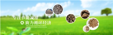 倪維斗院士：通過(guò)技術(shù)創(chuàng)新，大力發(fā)展超級(jí)能源生物質(zhì)燃料
